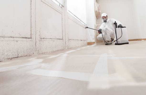 24/7 Emergency Basement Mold Remediation experts in Upperco, MD